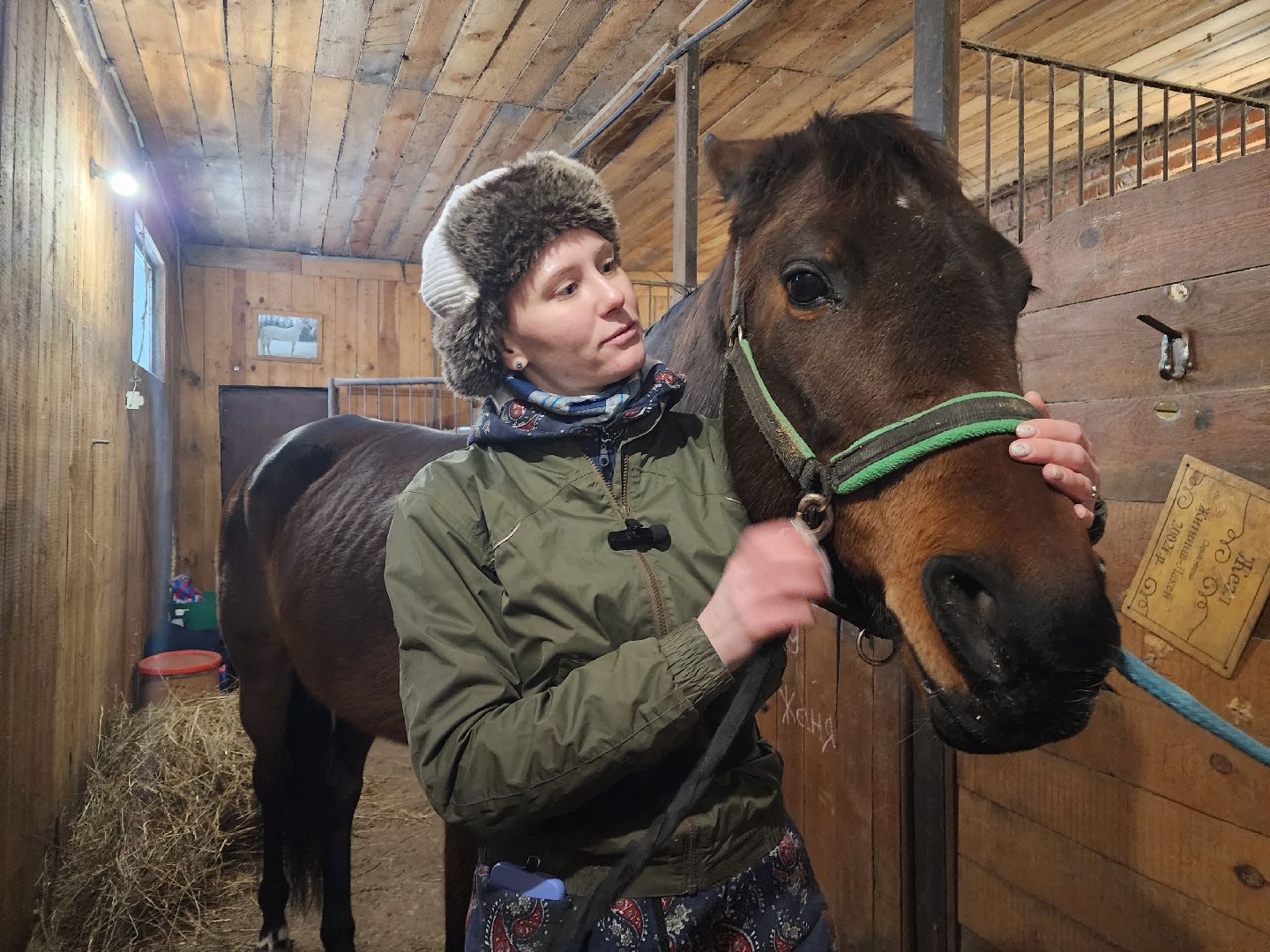 фрязино, лошади, конно-спортивная школа, массаж,