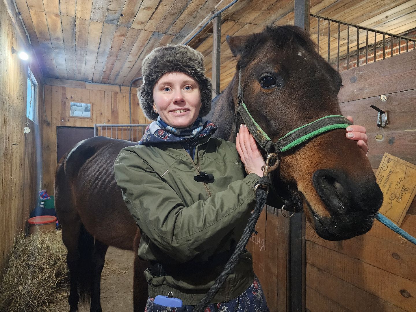 фрязино, лошади, конно-спортивная школа, массаж,