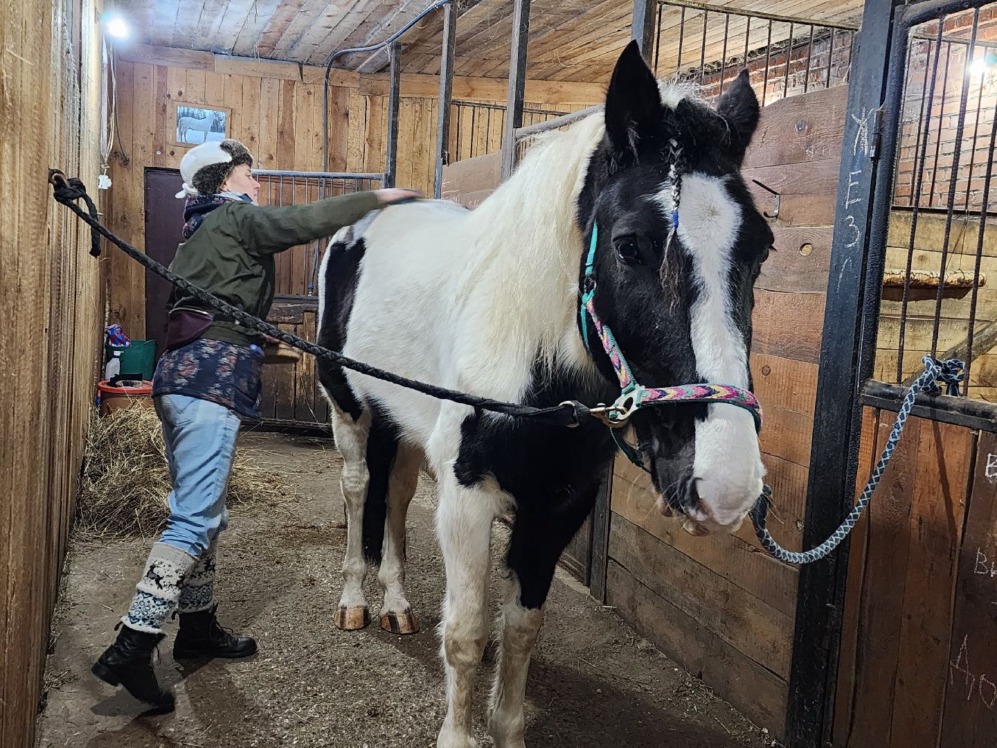 фрязино, лошади, конно-спортивная школа, массаж,