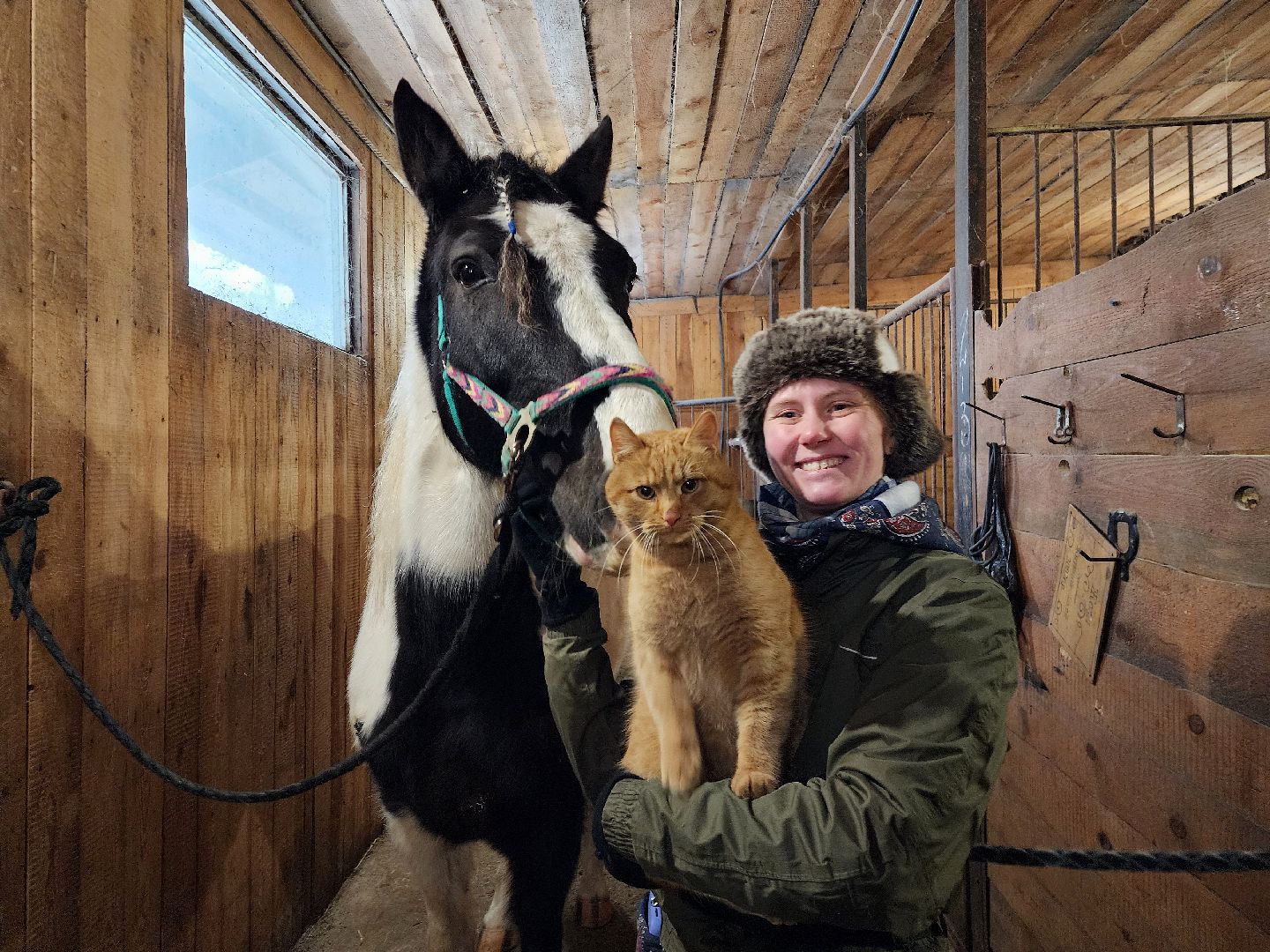 фрязино, лошади, конно-спортивная школа, массаж,