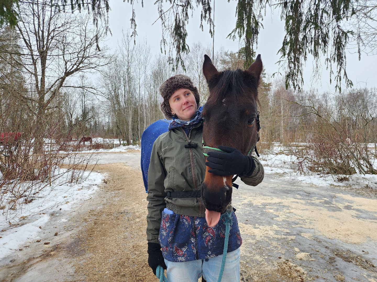 фрязино, лошади, конно-спортивная школа, массаж,