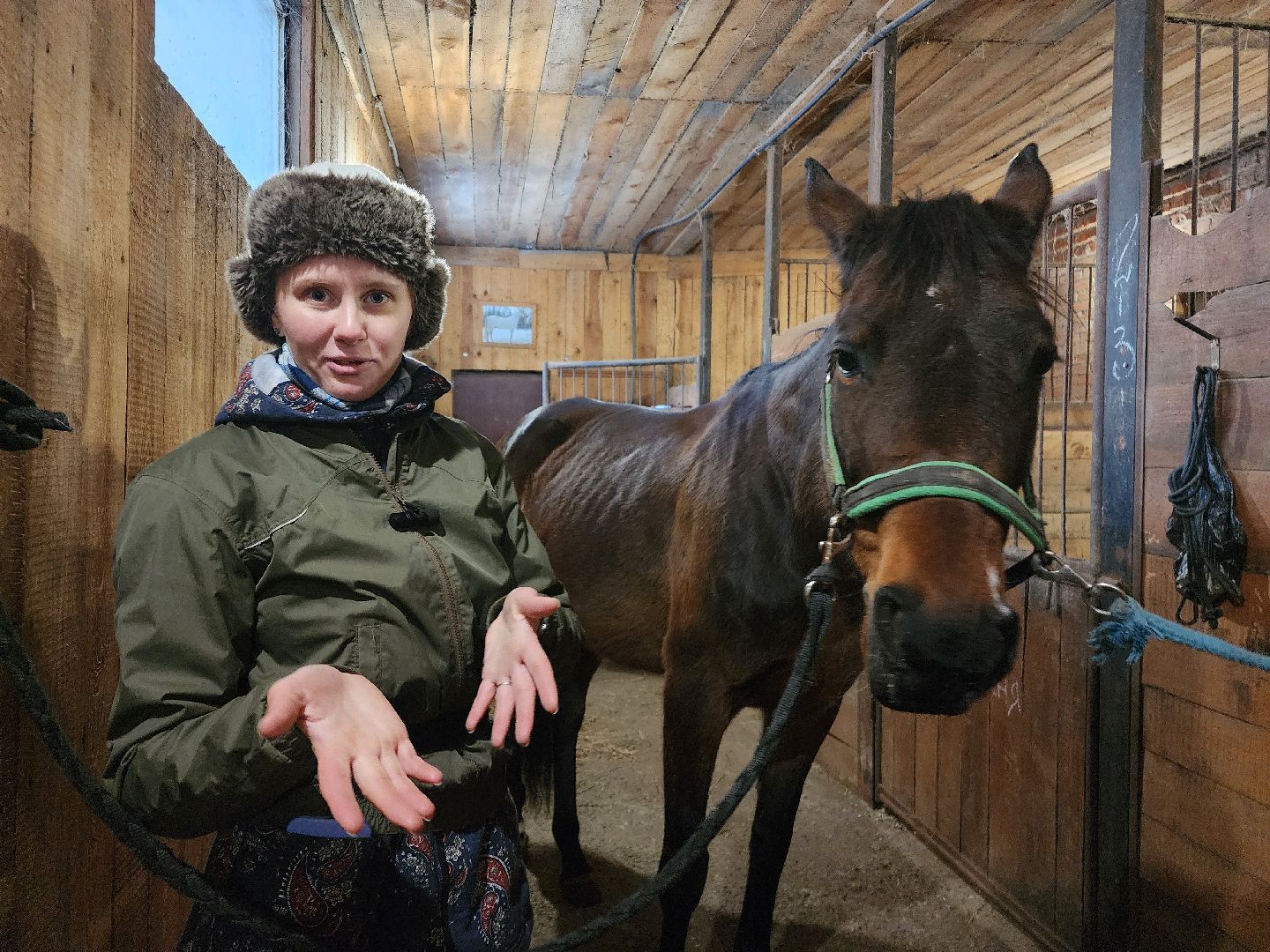 фрязино, лошади, конно-спортивная школа, массаж,