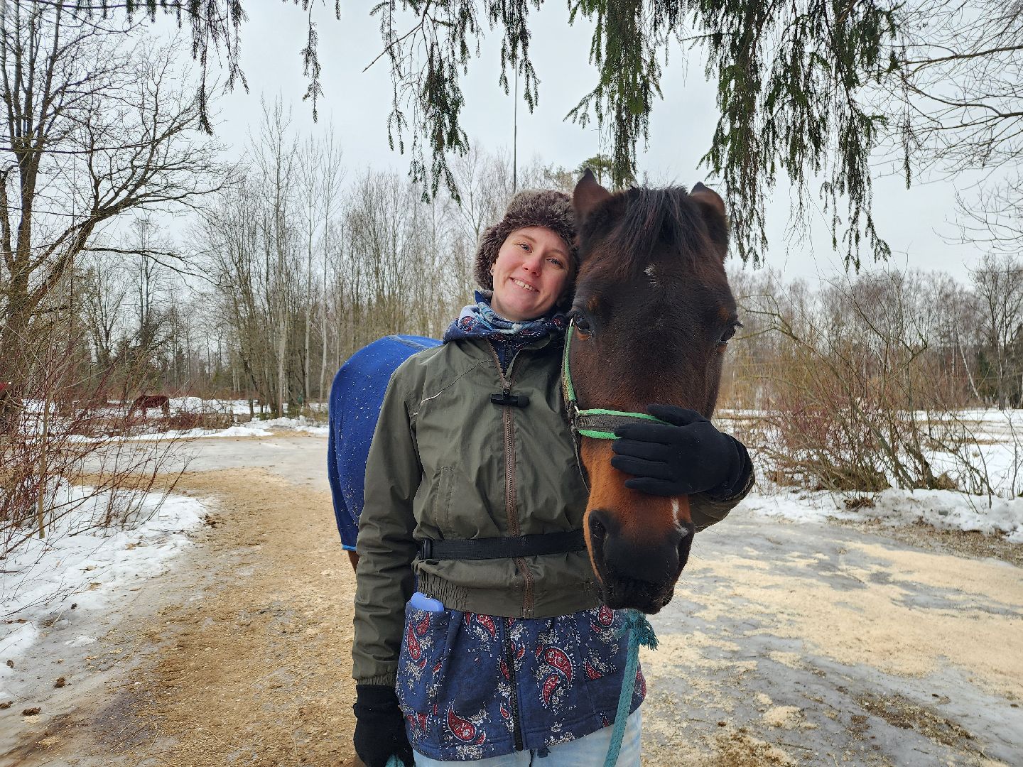 фрязино, лошади, конно-спортивная школа, массаж,