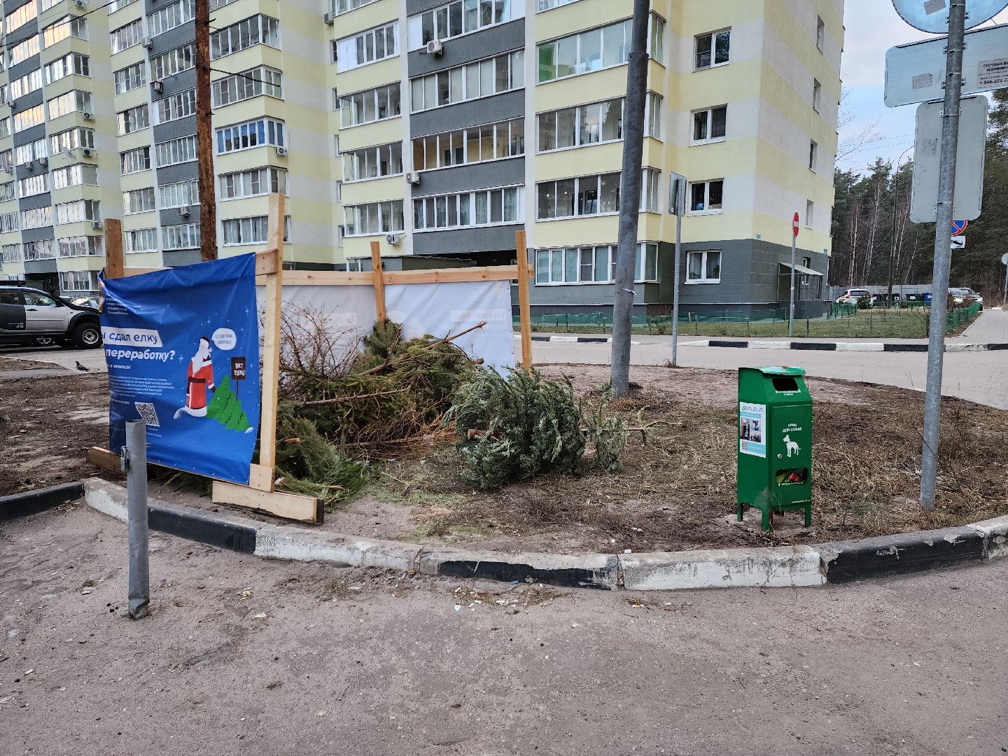 раменское, экология, акция по сбору елей, площадка на высоковольтной, вертикалки,