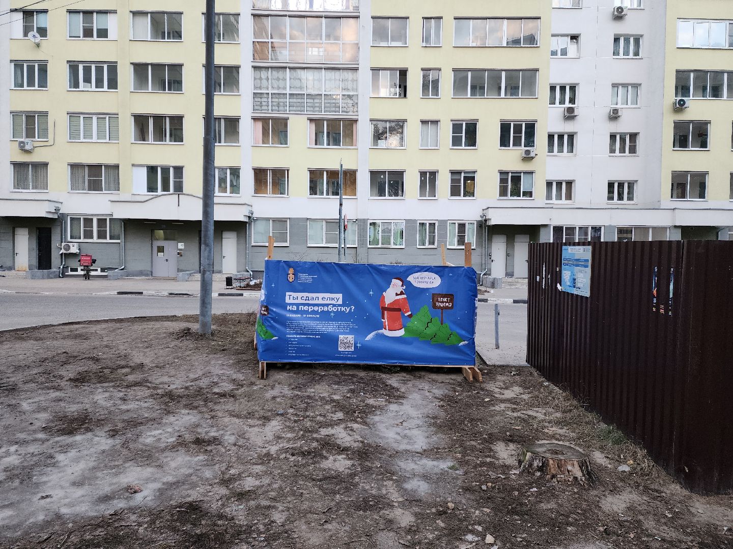 раменское, экология, акция по сбору елей, площадка на высоковольтной, вертикалки,