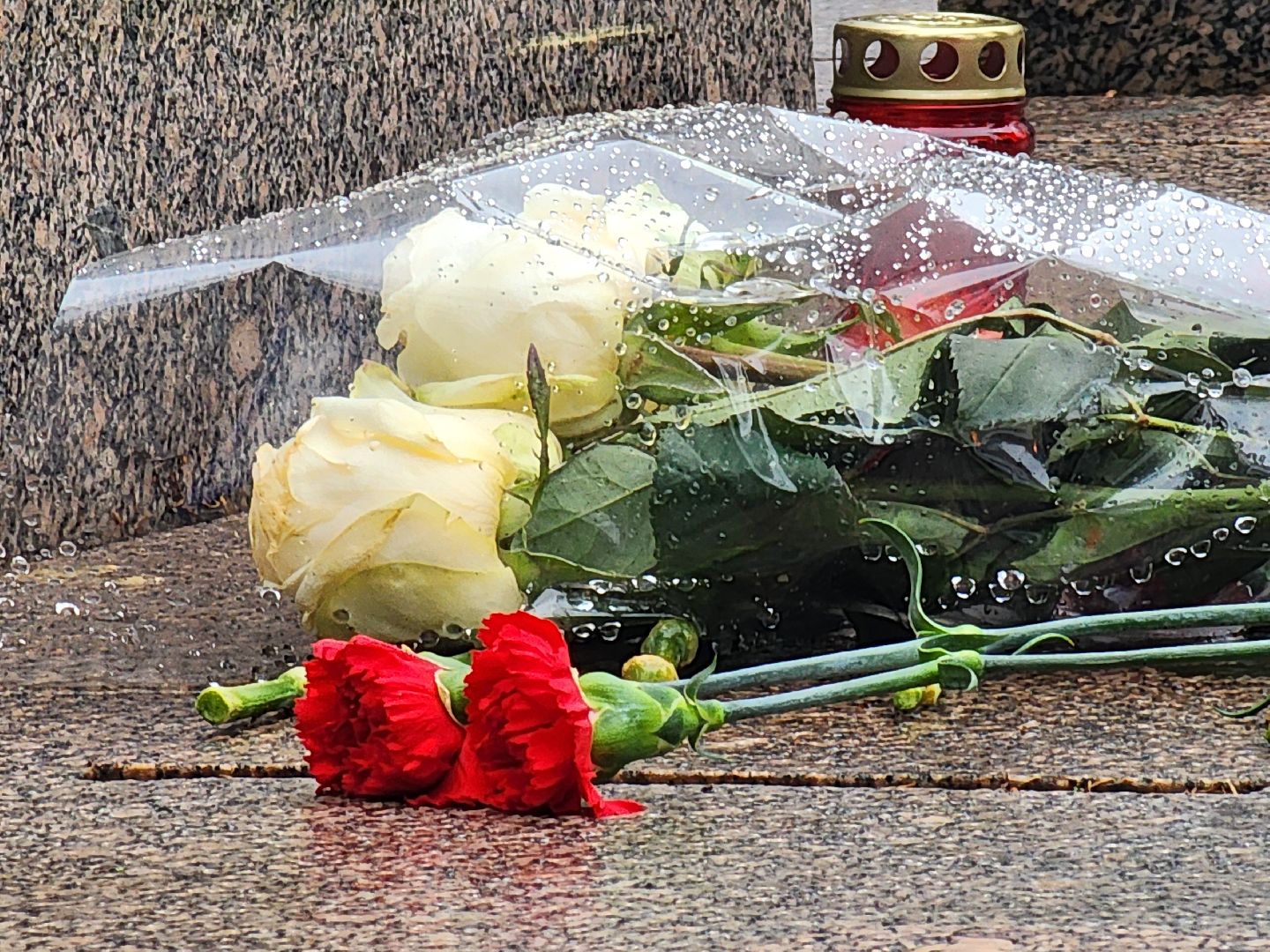 Молодая гвардия, Блокада Ленинграда, Луховицы, аллея славы,вертикалки,