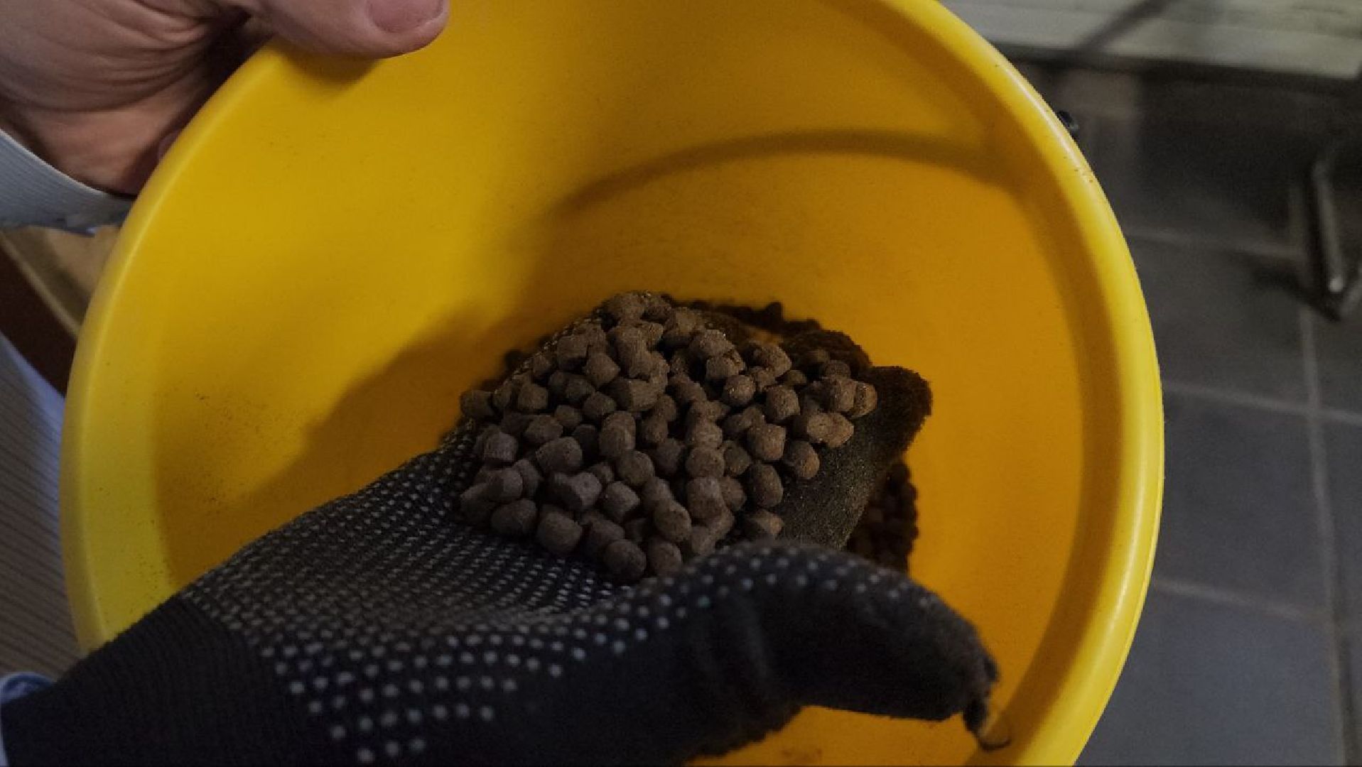 Луховицы, Акваферма, вертикалки