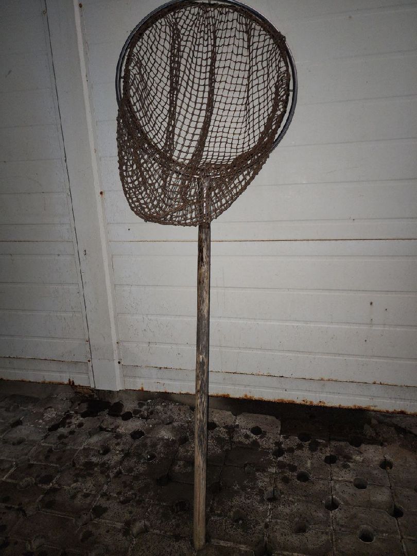 Луховицы, Акваферма, вертикалки