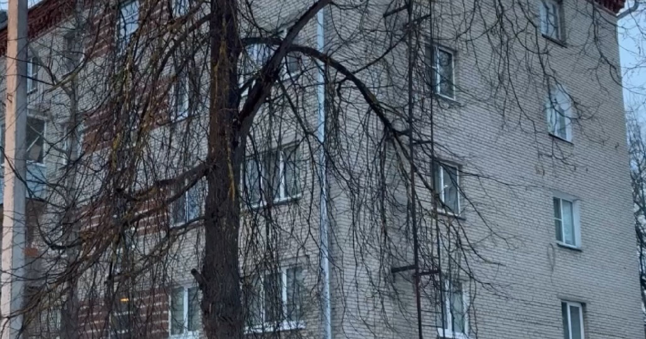 Солнечногорск, Уборка дворов, Коммунальные службы, Жители, Вертикалки,