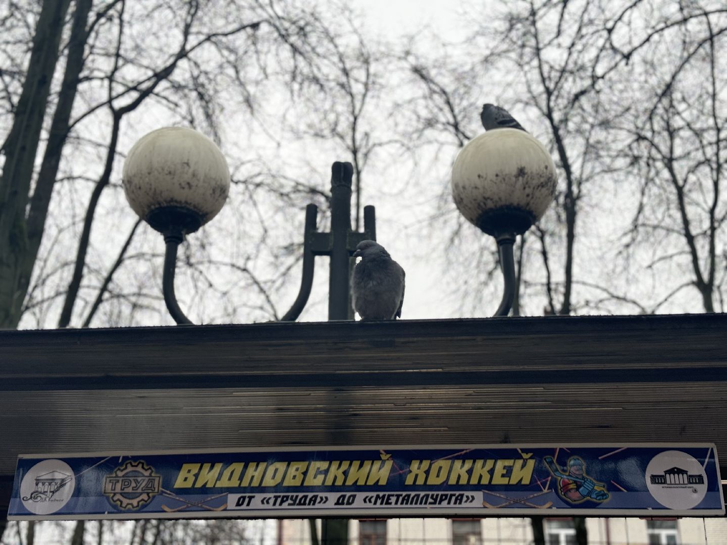 Хоккей, Фотовыставка, сквер юность,Видное,