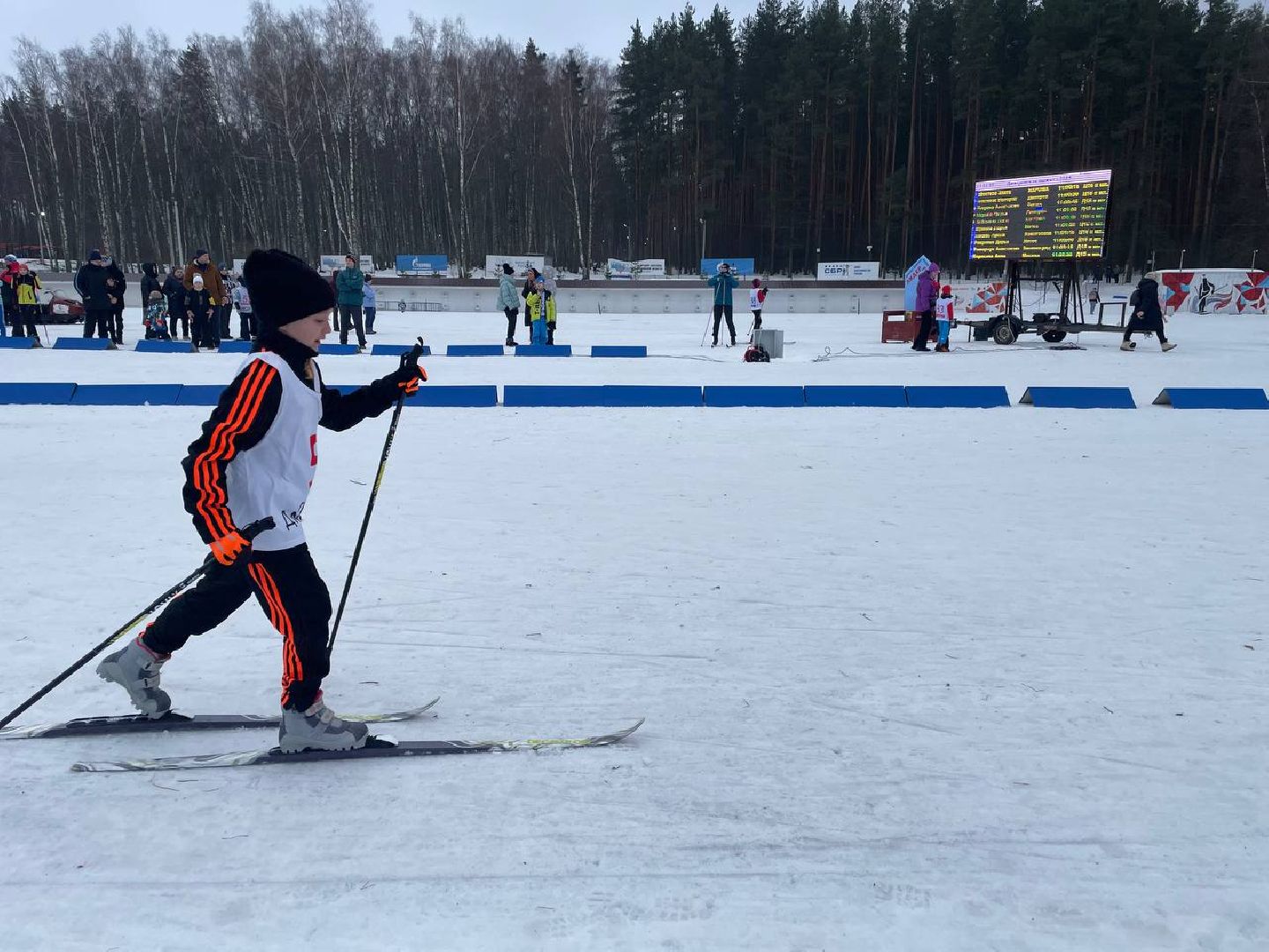 Дмитров, ЦЗВС, Дмитровская лыжня, вертикалки,