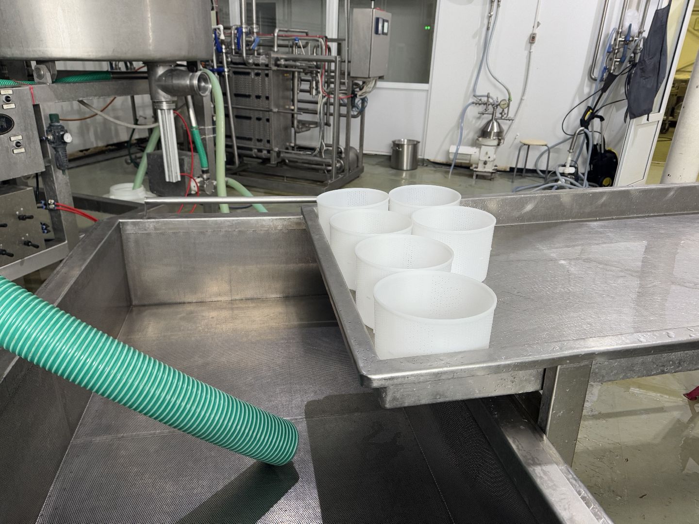 шаховская, сыроварня, ферма, рабочие места,