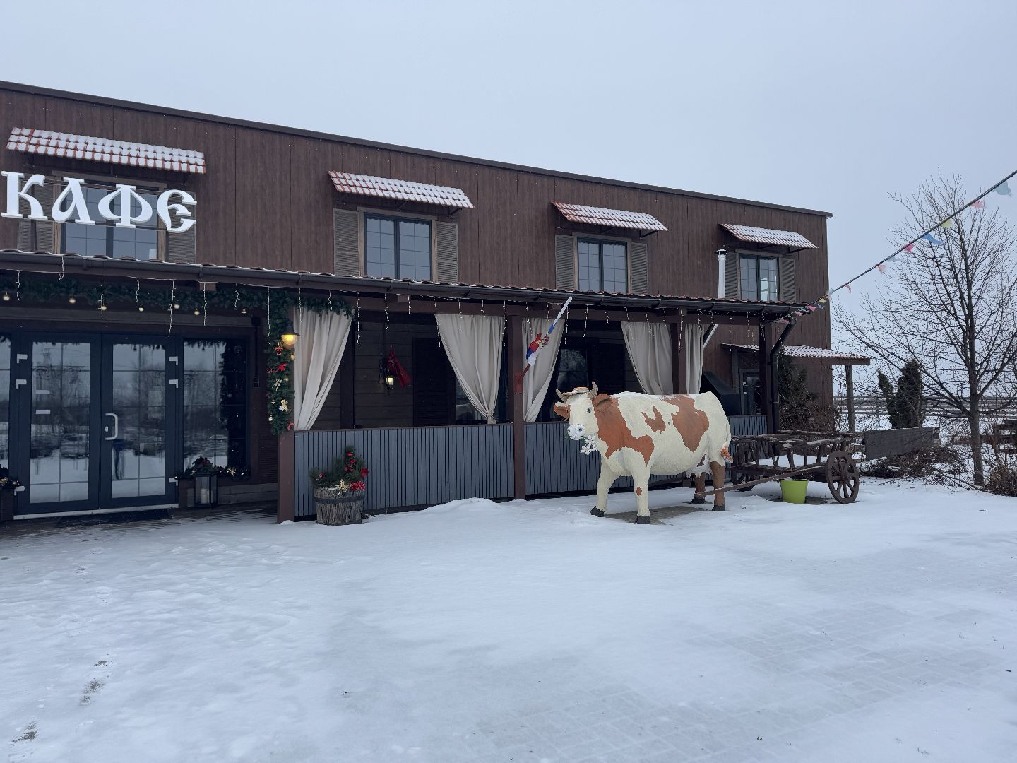 шаховская, сыроварня, ферма, рабочие места,