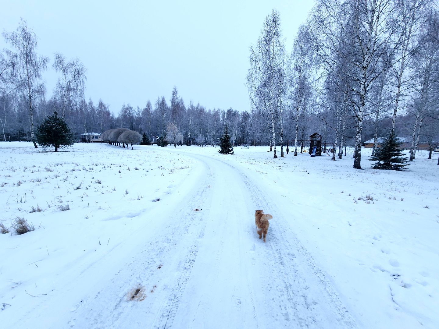 пущино, серпухов, отдых в подмосковье,ферма,