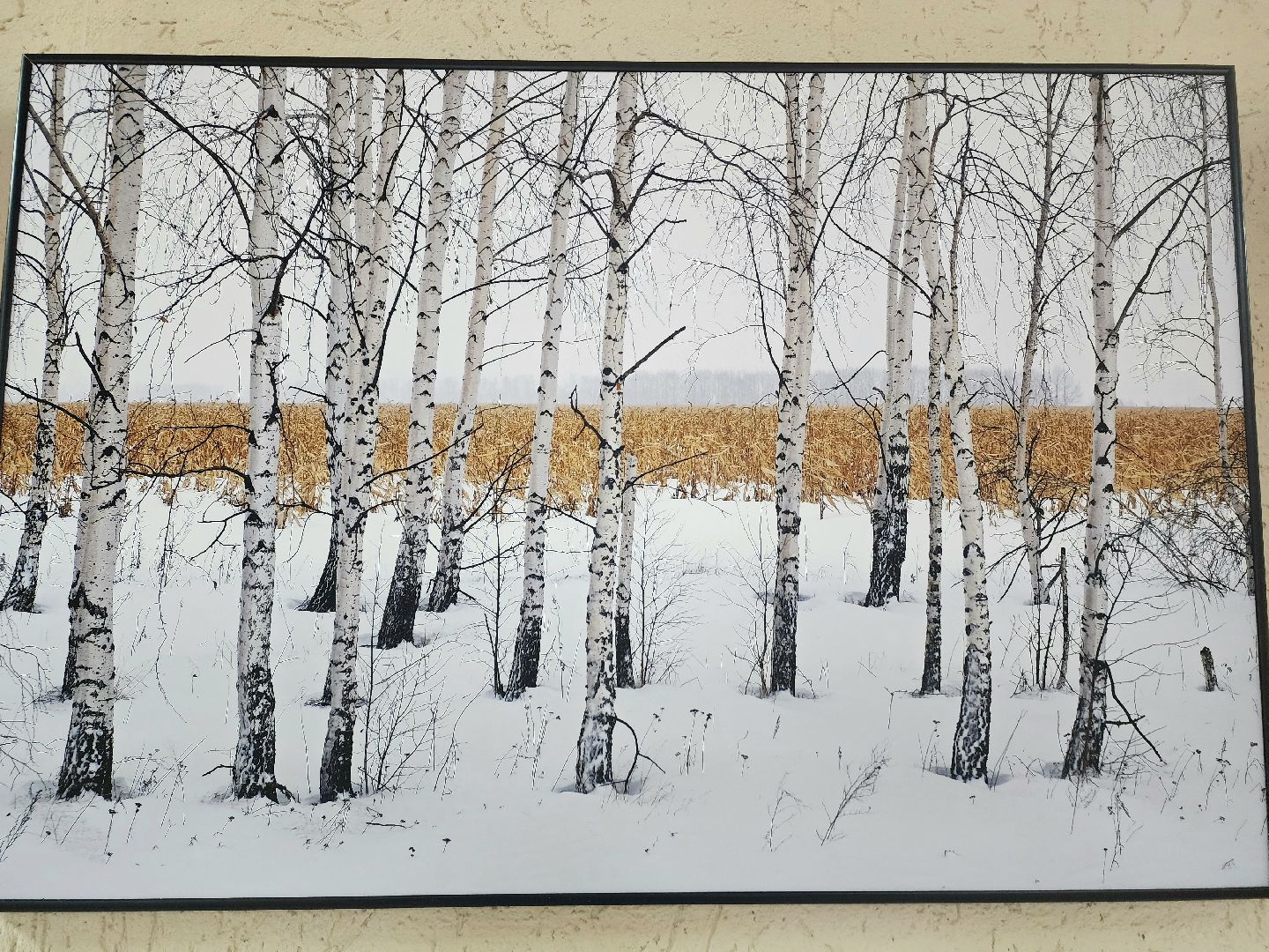 пущино, серпухов, культура, фотовыставка,