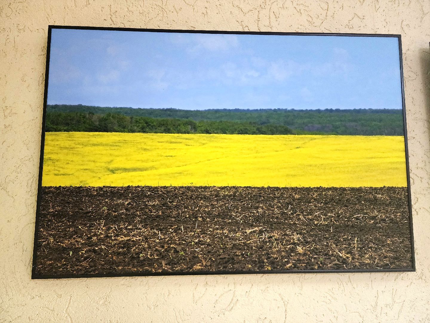 пущино, серпухов, культура, фотовыставка,