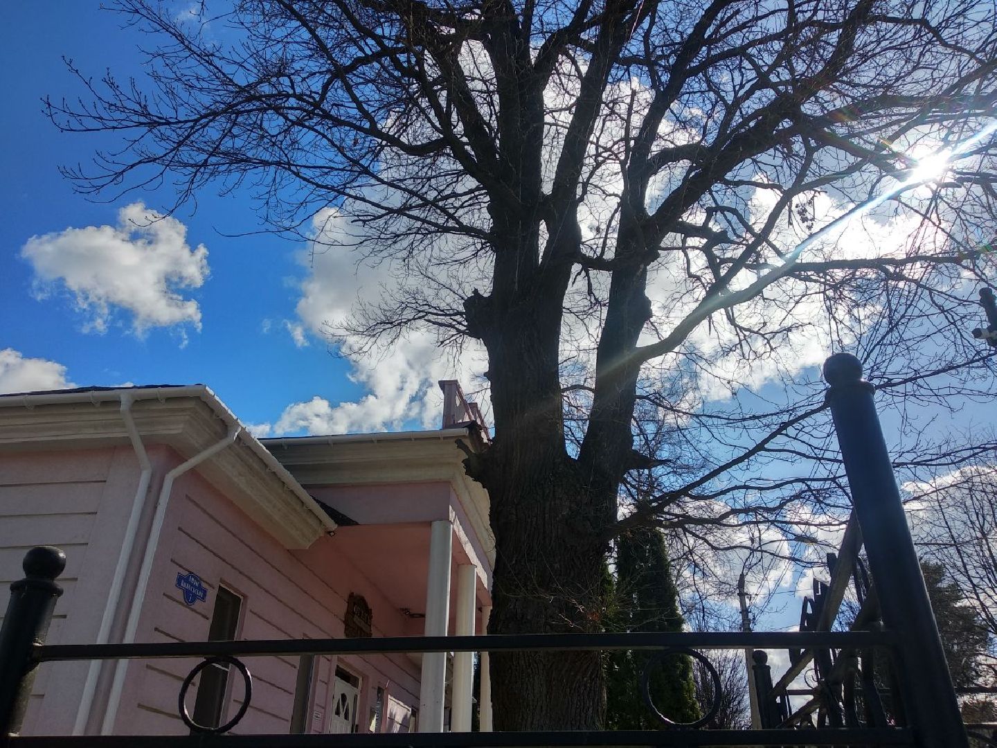 Дмитров, музей Дмитровский кремль, Областной субботник