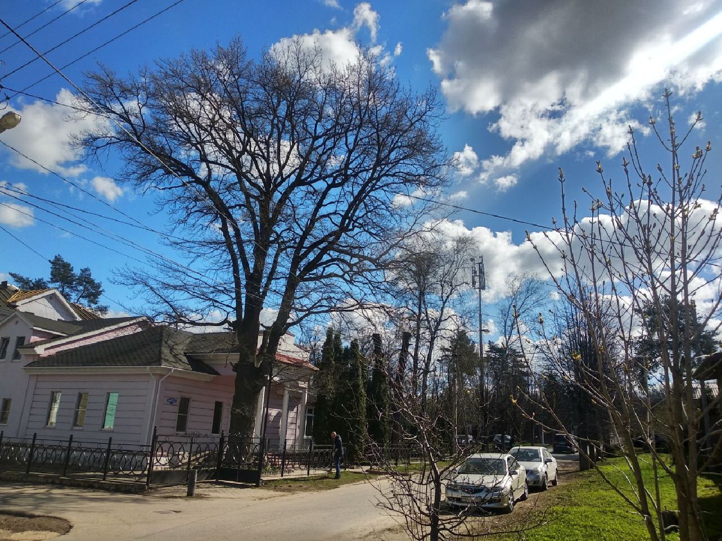 Дмитров, музей Дмитровский кремль, Областной субботник