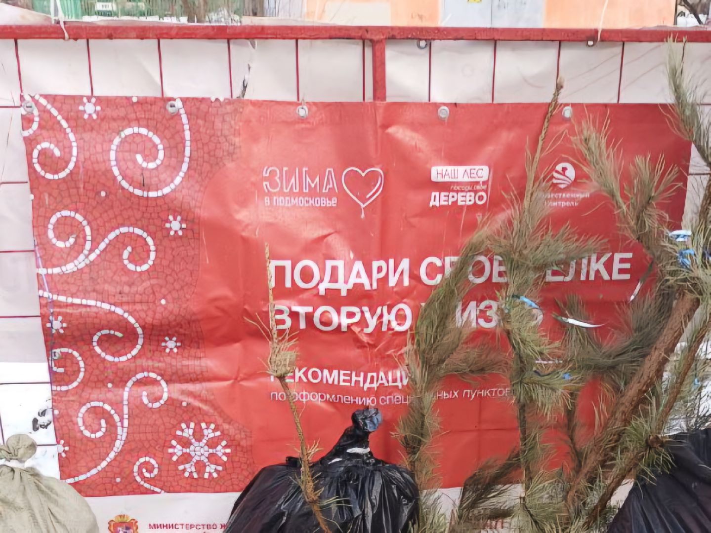 Коломна, переработка елей, экологическая акция,