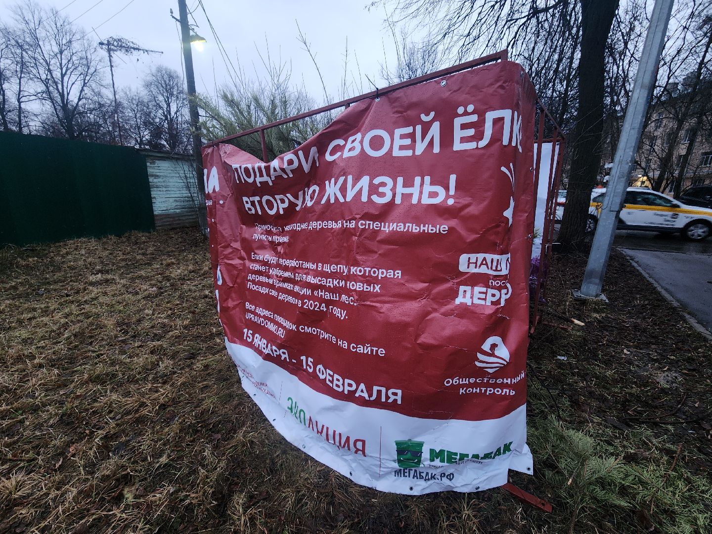 Коломна, переработка елей, экологическая акция,