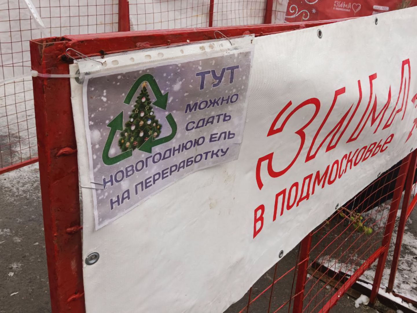 Коломна, переработка елей, экологическая акция,