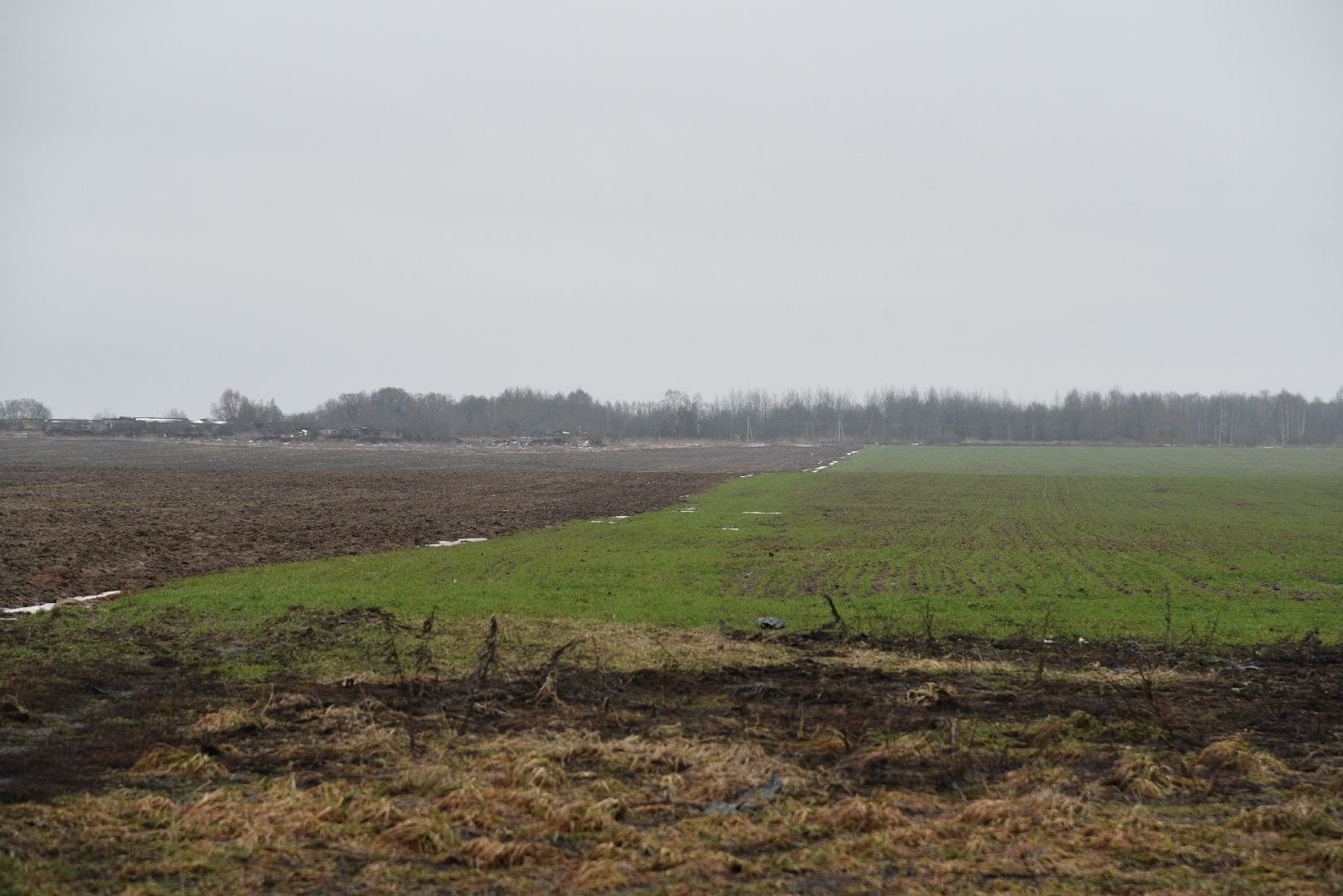 лотошино, сельское хозяйство, урожай озимых,