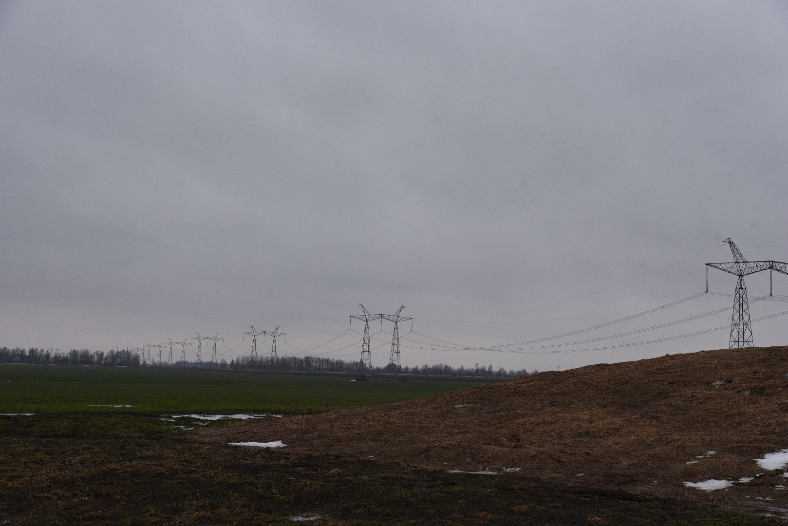 лотошино, сельское хозяйство, урожай озимых,