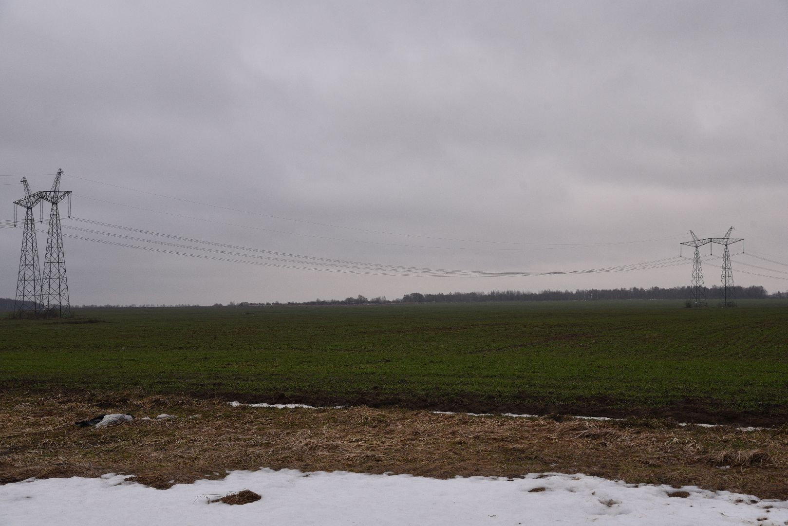 лотошино, сельское хозяйство, урожай озимых,