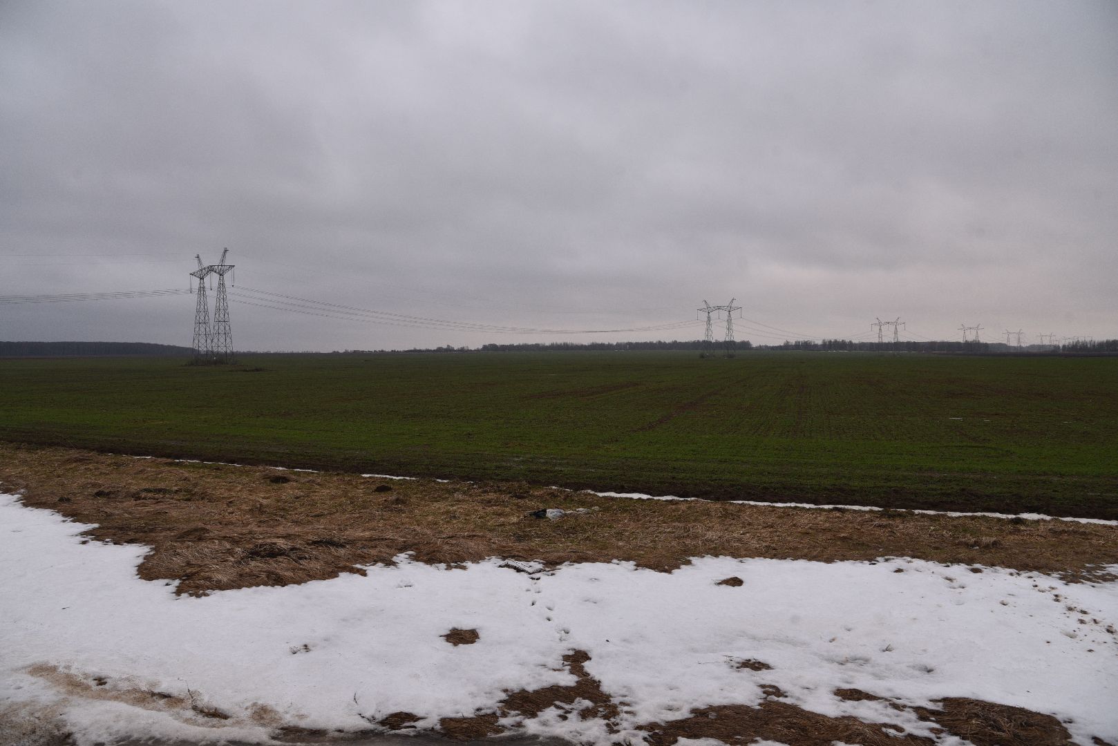 лотошино, сельское хозяйство, урожай озимых,