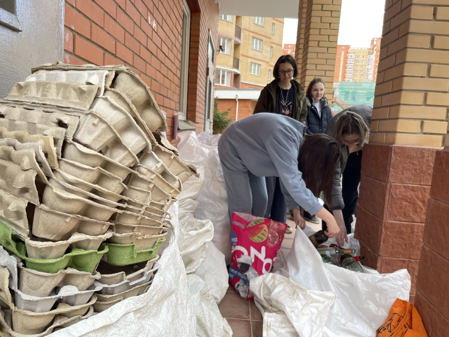 Экология, переработка, активисты, раздельный сбор,