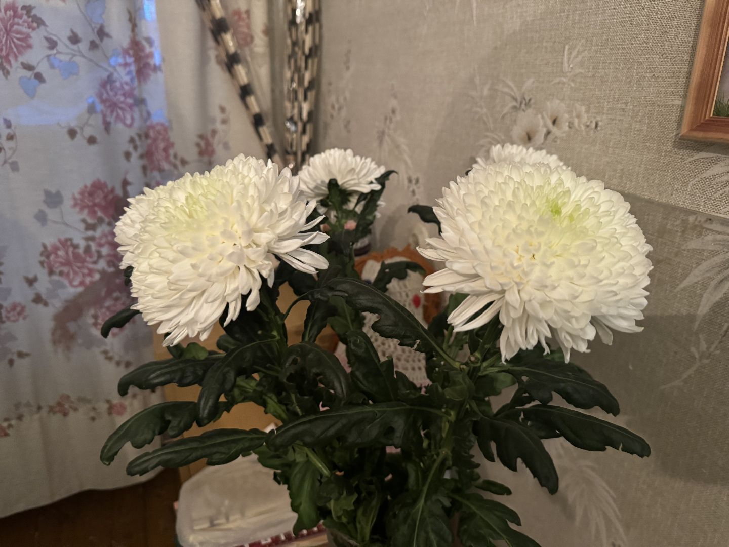 блокада ленинграда, ветеран войны,Видное, глава муниципалитета,