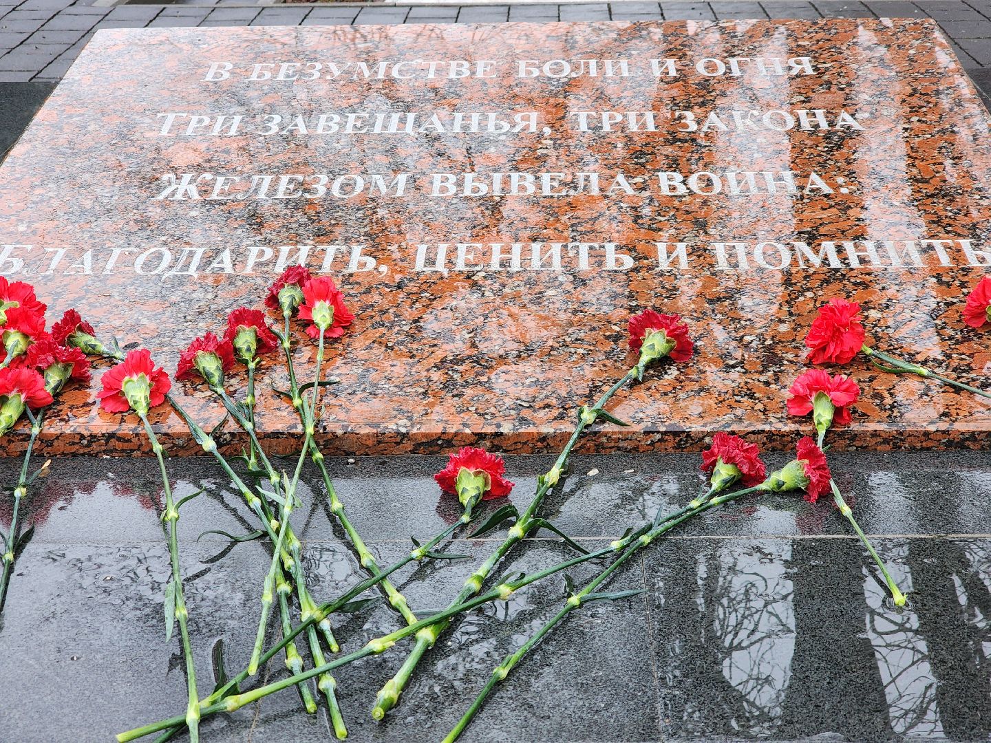 блокада ленинграда, митинг памяти, шатура,