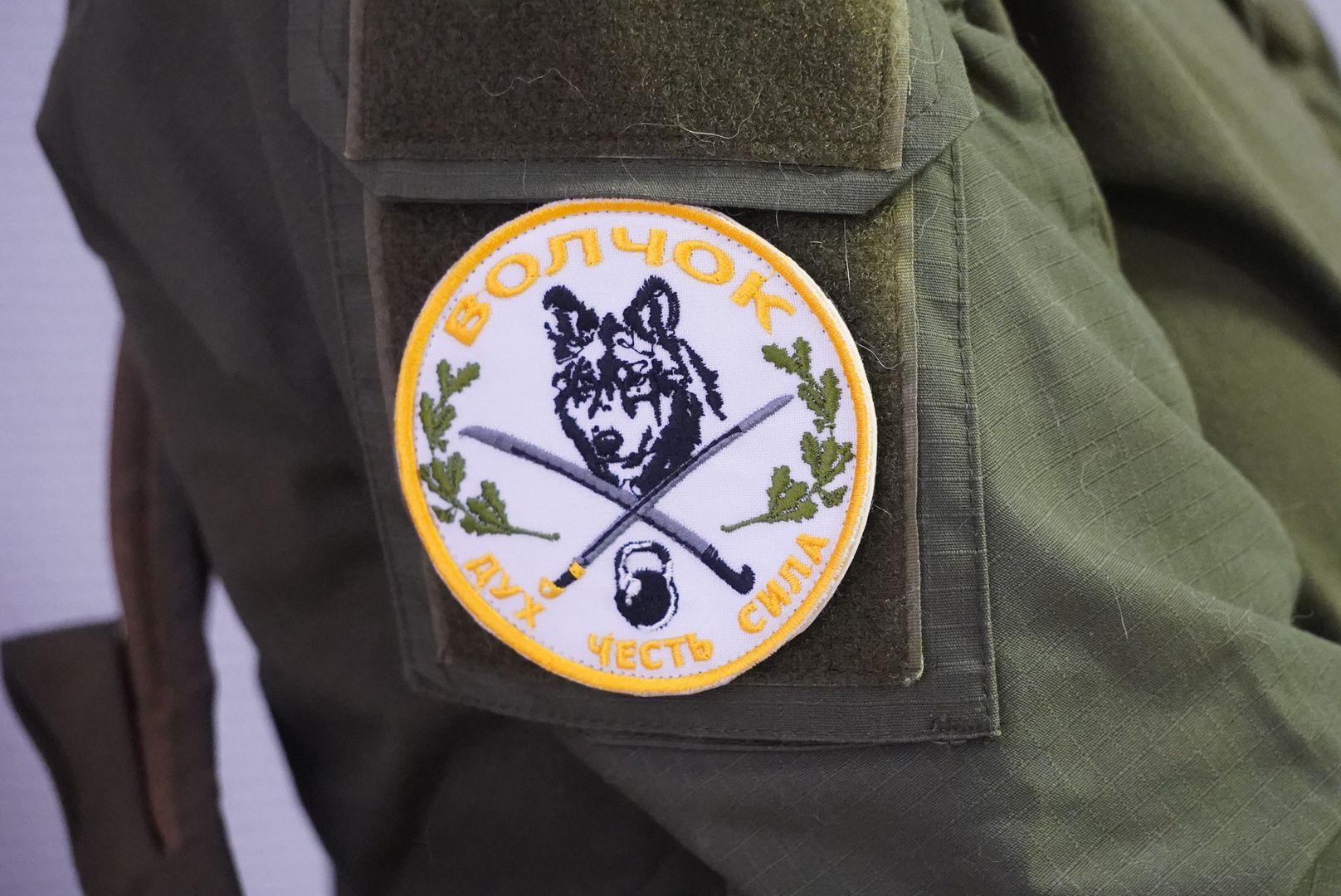 Электрогорск, молодежь, мастер-класс, образование, вертикалки