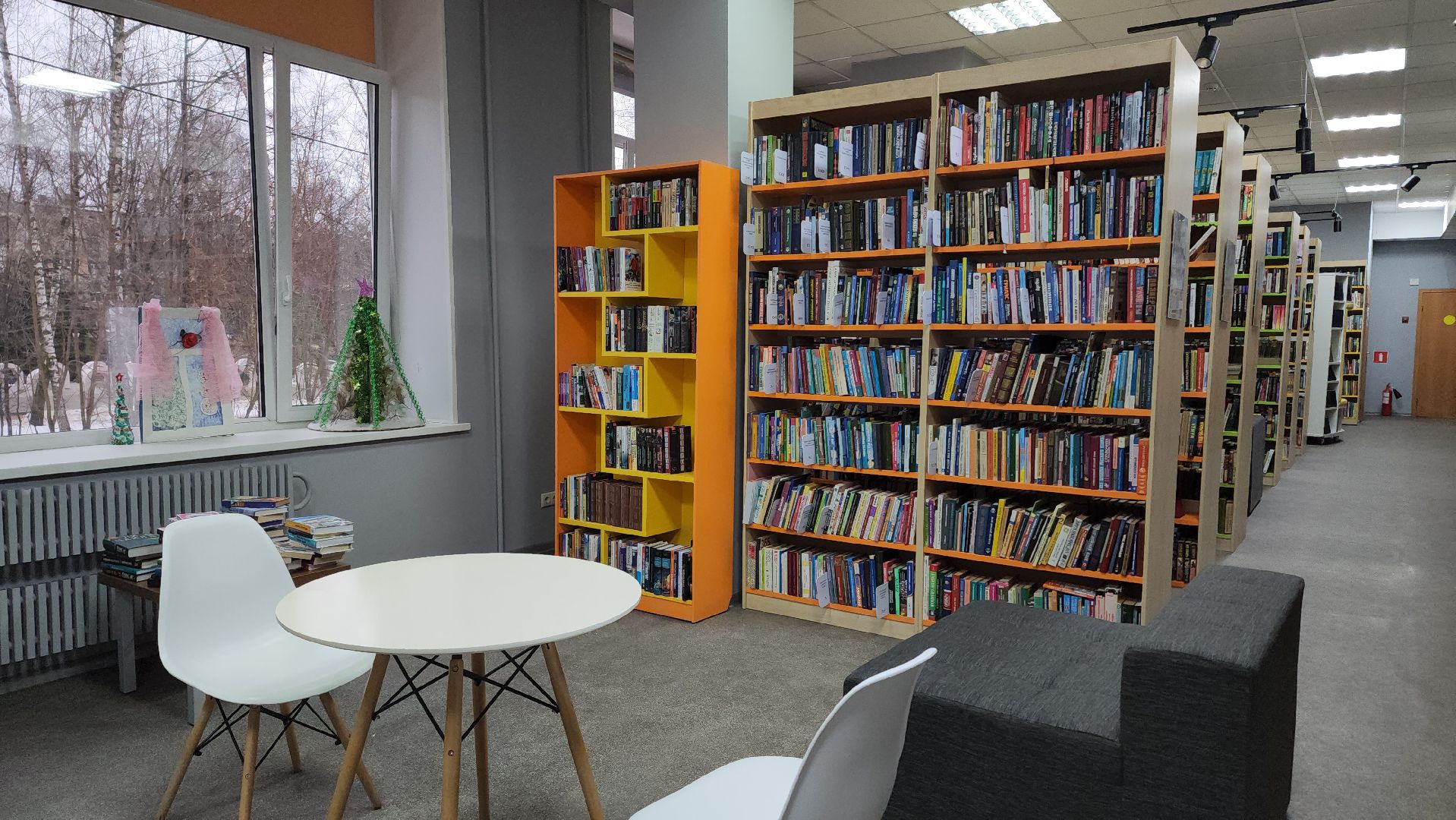 библиотека, книги, балашиха,