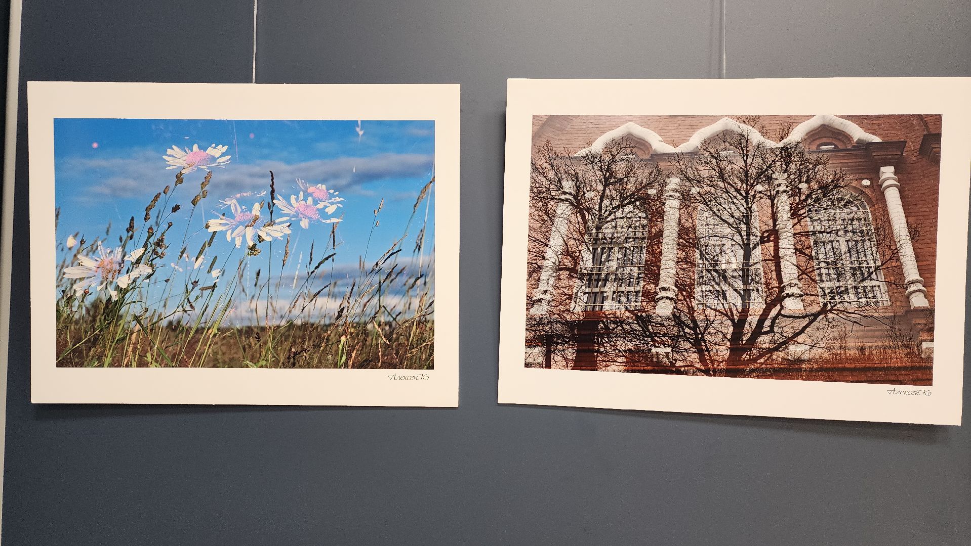 вертикалки, ивантеевка, пушкинский, фотовыставка, фотографии, центральная городская библиотека,