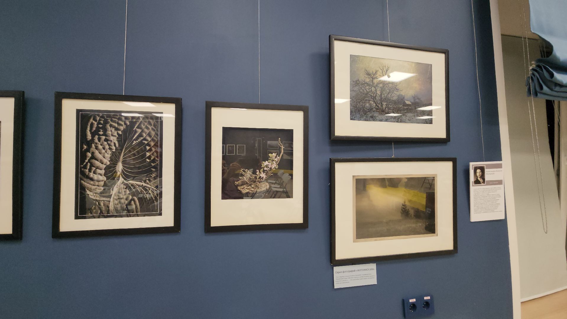 вертикалки, ивантеевка, пушкинский, фотовыставка, фотографии, центральная городская библиотека,