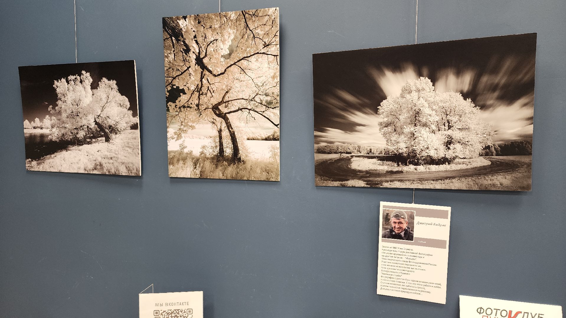 вертикалки, ивантеевка, пушкинский, фотовыставка, фотографии, центральная городская библиотека,