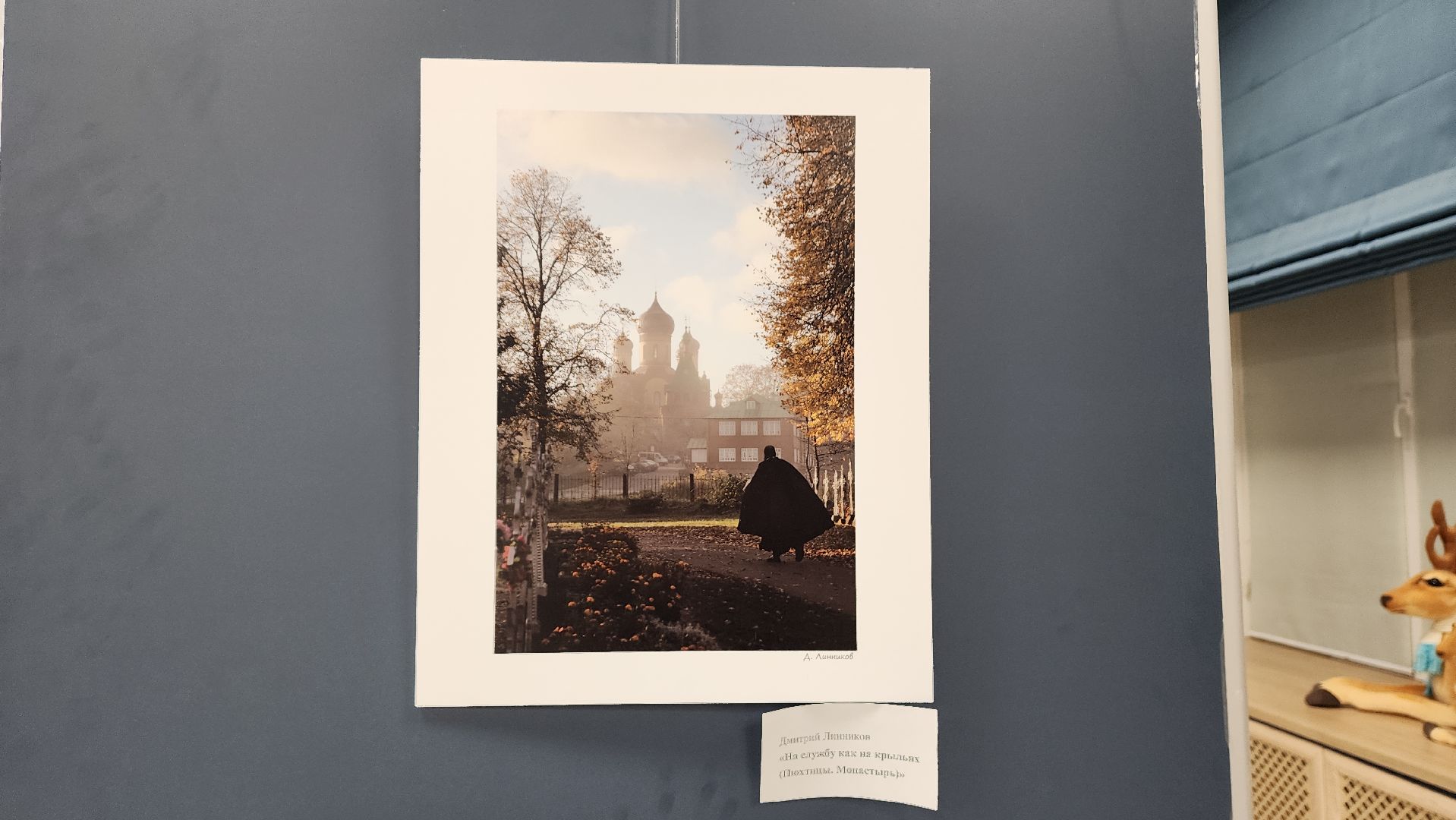 вертикалки, ивантеевка, пушкинский, фотовыставка, фотографии, центральная городская библиотека,