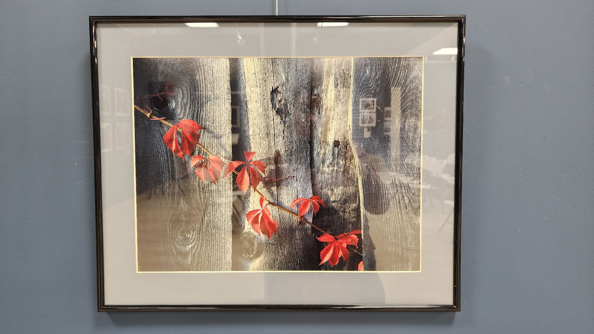 вертикалки, ивантеевка, пушкинский, фотовыставка, фотографии, центральная городская библиотека,