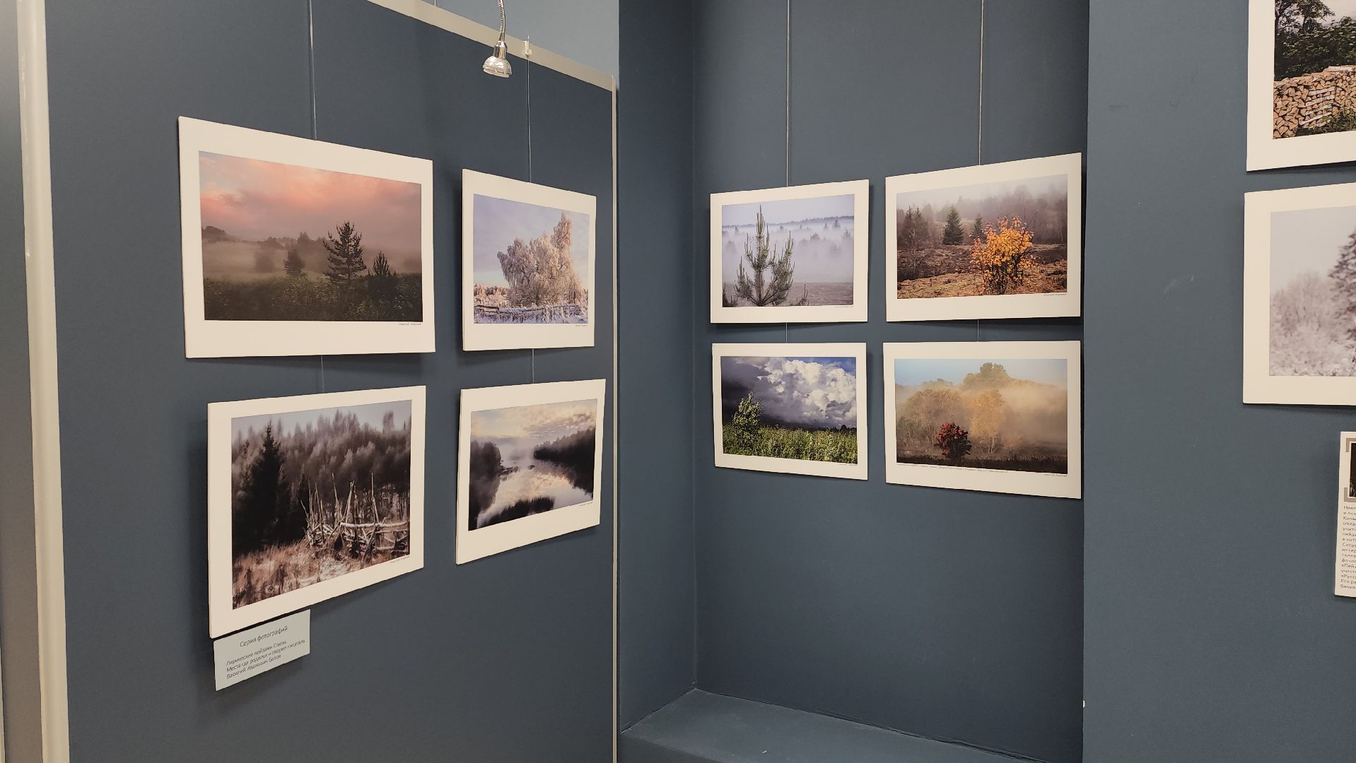 вертикалки, ивантеевка, пушкинский, фотовыставка, фотографии, центральная городская библиотека,