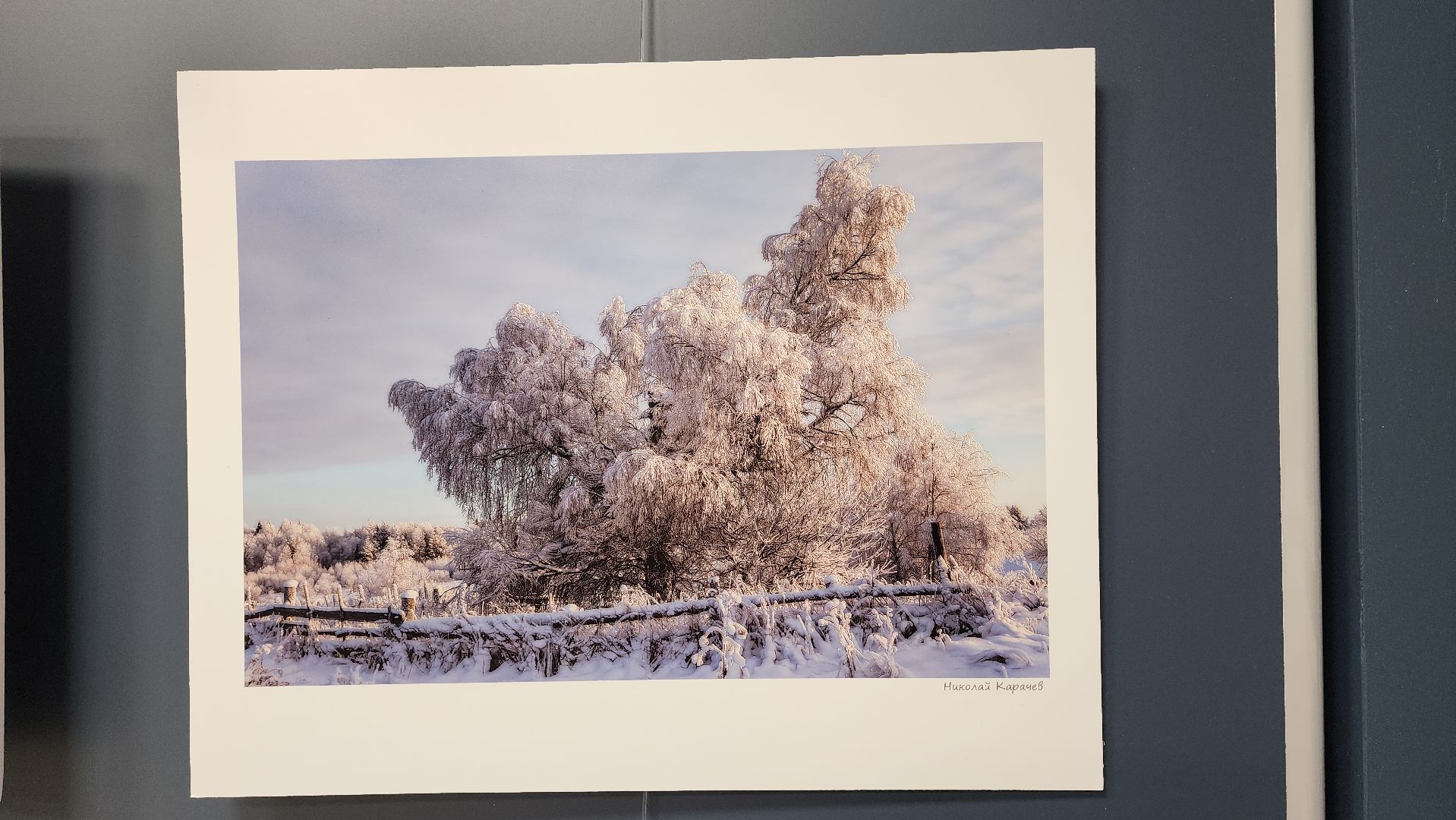 вертикалки, ивантеевка, пушкинский, фотовыставка, фотографии, центральная городская библиотека,