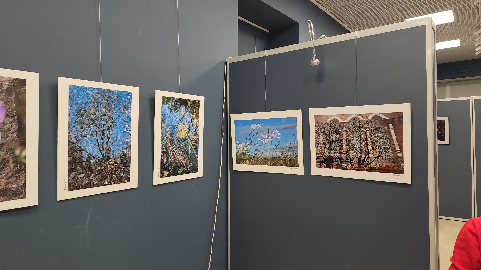 вертикалки, ивантеевка, пушкинский, фотовыставка, фотографии, центральная городская библиотека,