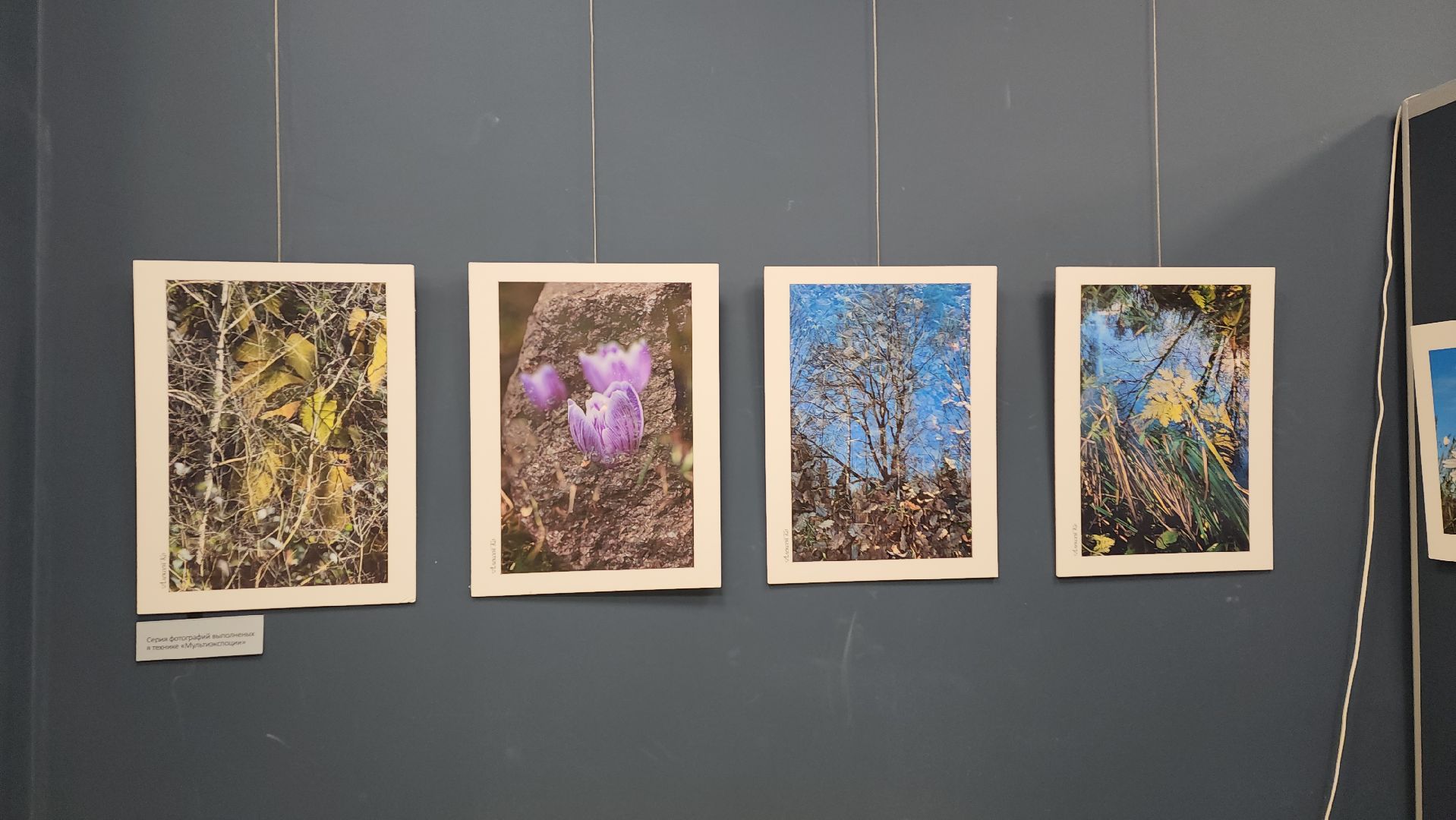 вертикалки, ивантеевка, пушкинский, фотовыставка, фотографии, центральная городская библиотека,