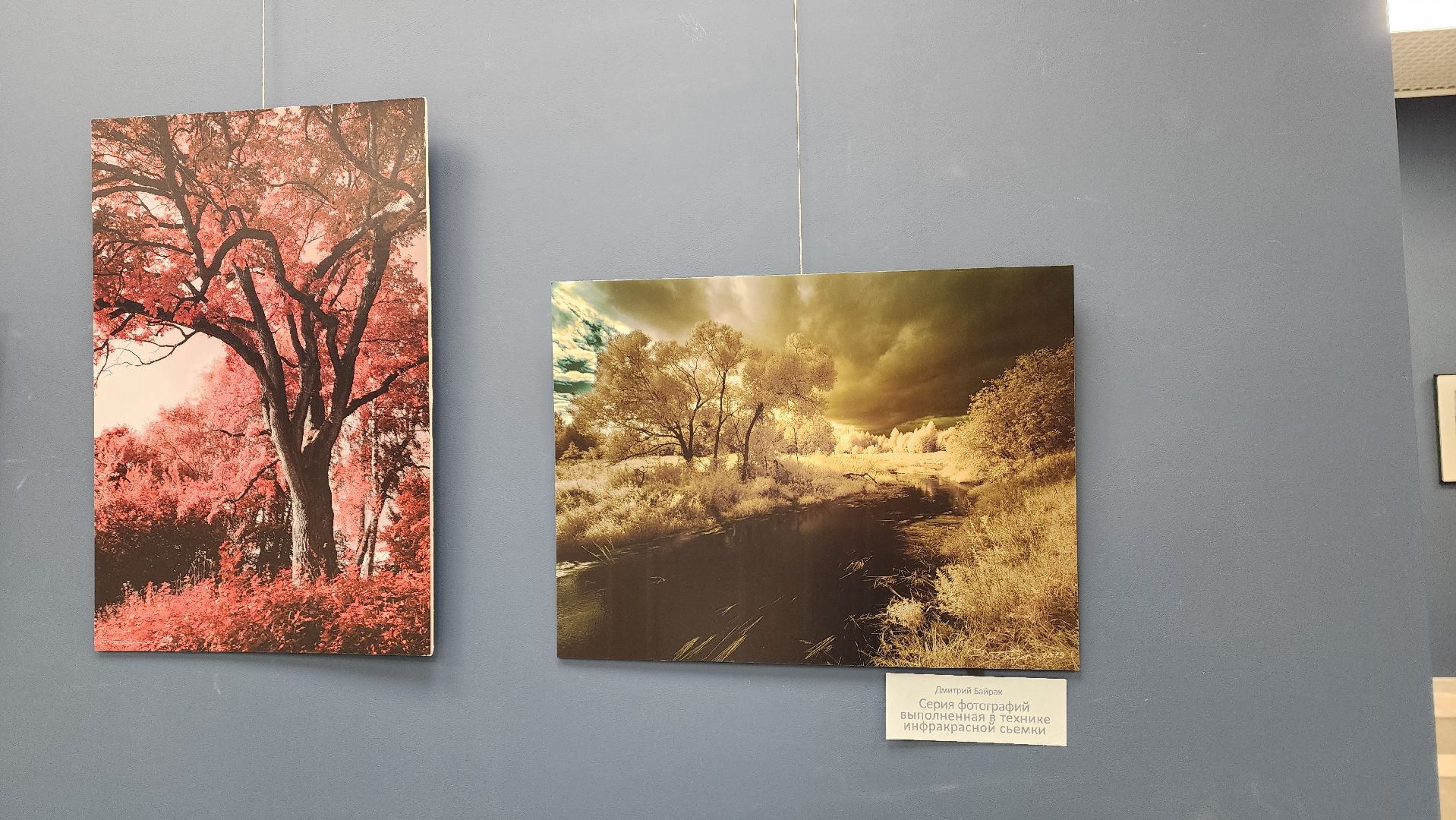 вертикалки, ивантеевка, пушкинский, фотовыставка, фотографии, центральная городская библиотека,