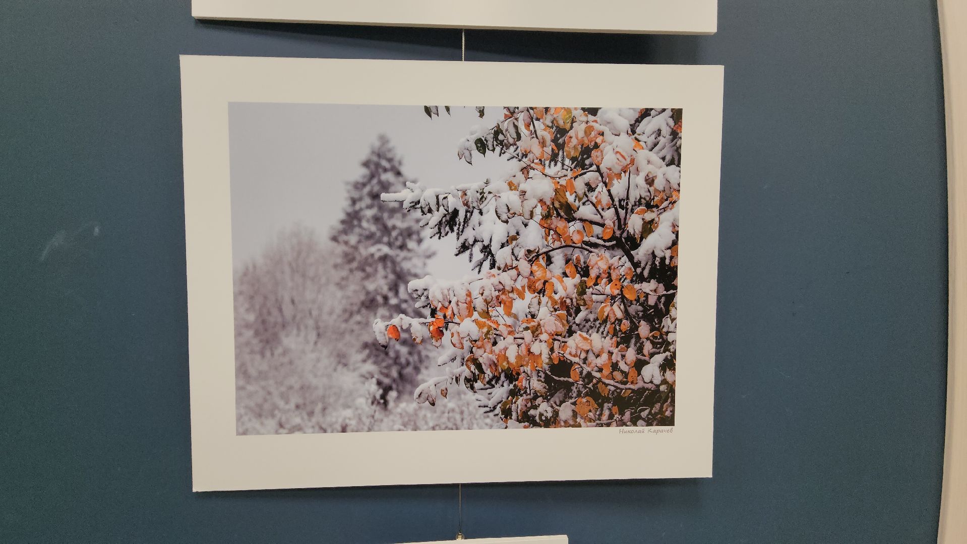 вертикалки, ивантеевка, пушкинский, фотовыставка, фотографии, центральная городская библиотека,