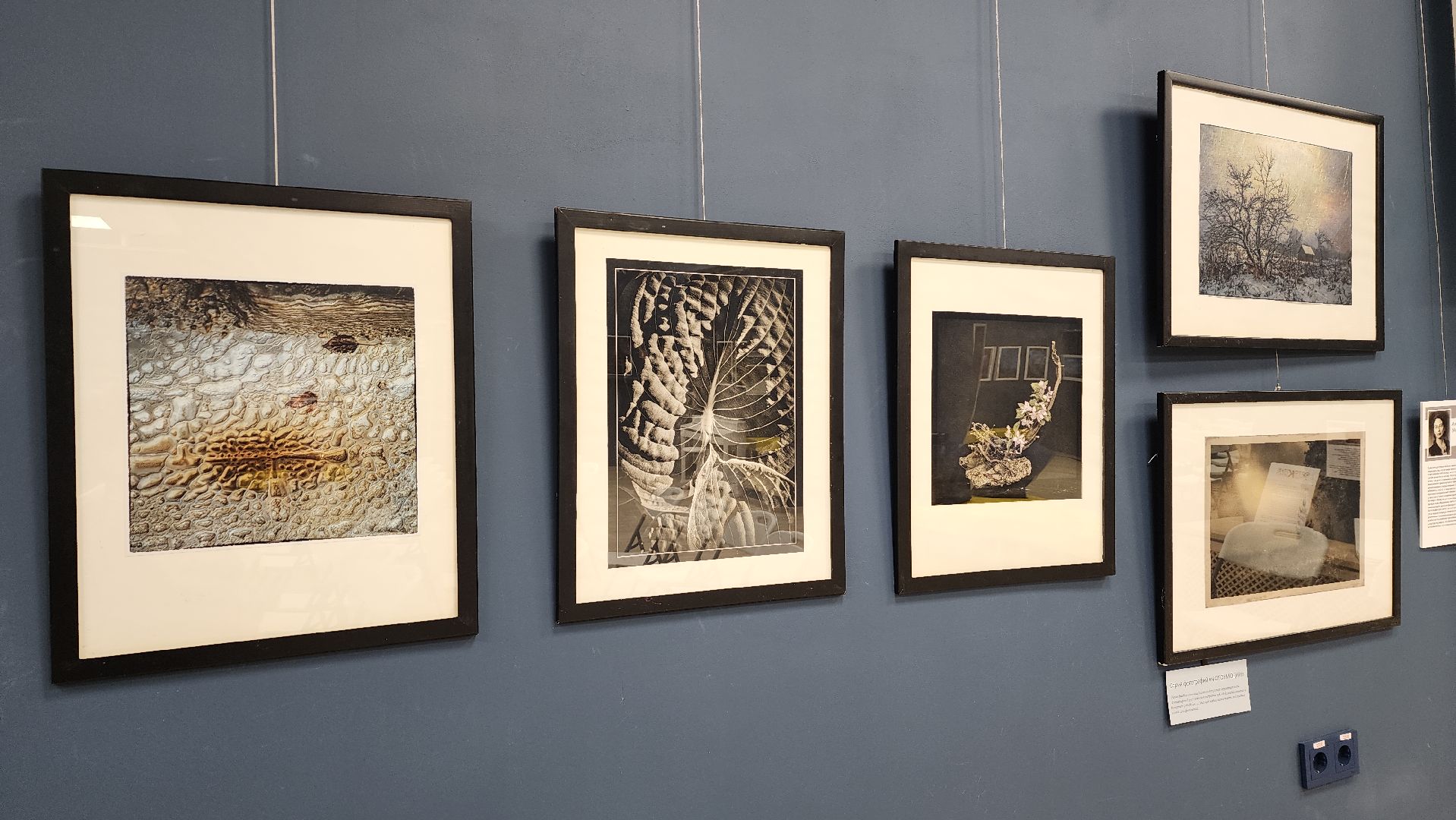 вертикалки, ивантеевка, пушкинский, фотовыставка, фотографии, центральная городская библиотека,