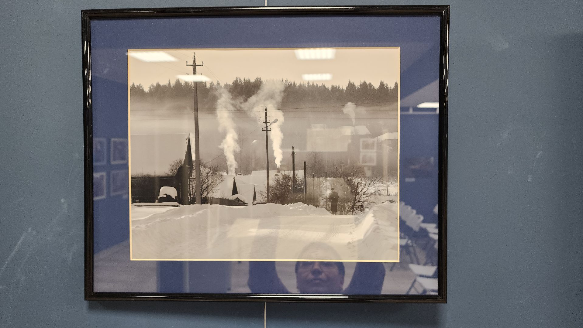 вертикалки, ивантеевка, пушкинский, фотовыставка, фотографии, центральная городская библиотека,