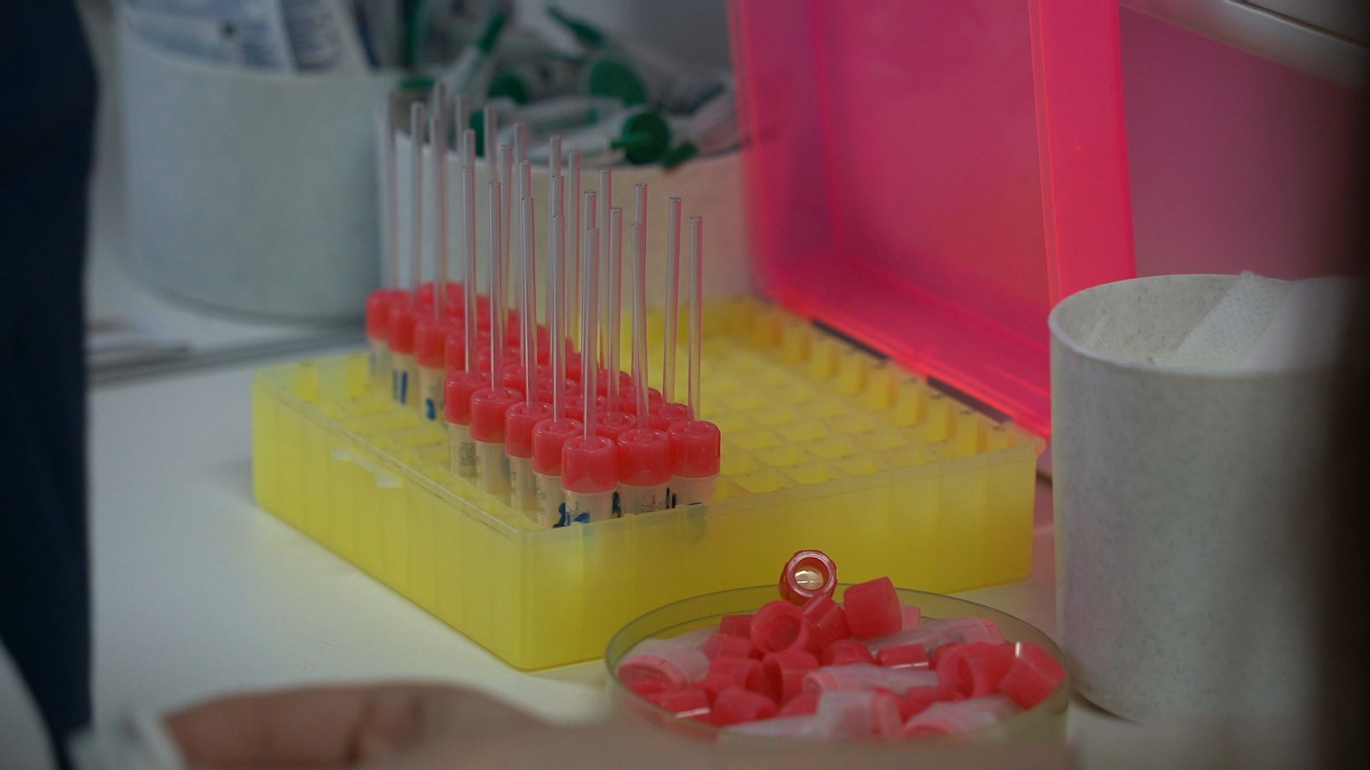 Егорьевск, Подмосковье, Московская область,вертикалки,