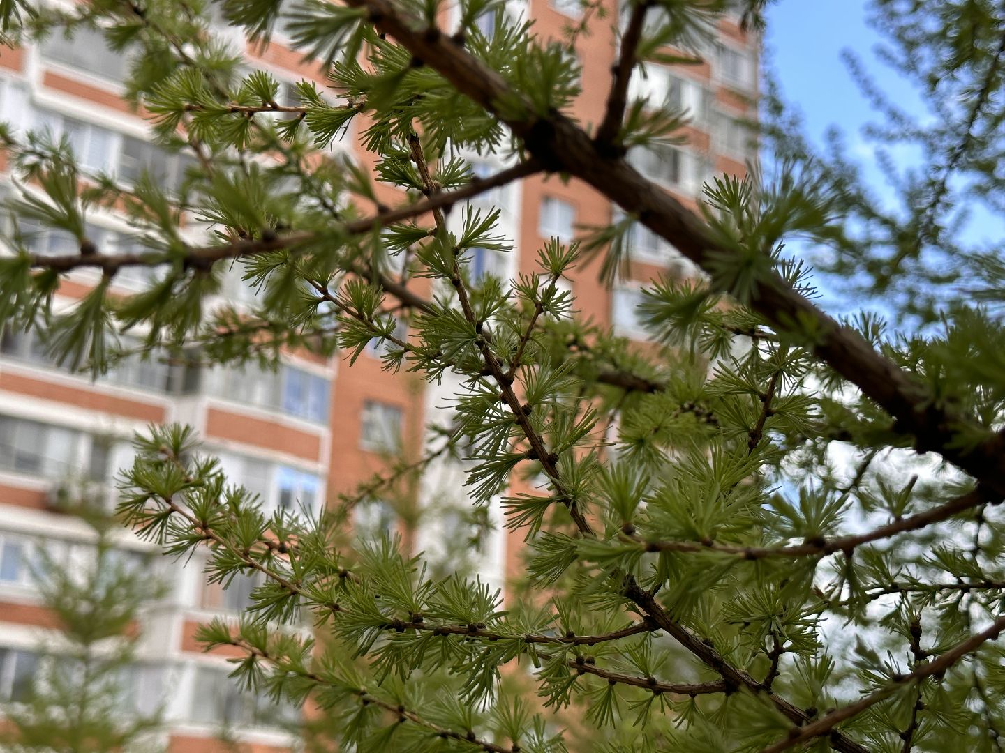 Одинцово, Благоустройство, Детская площадка