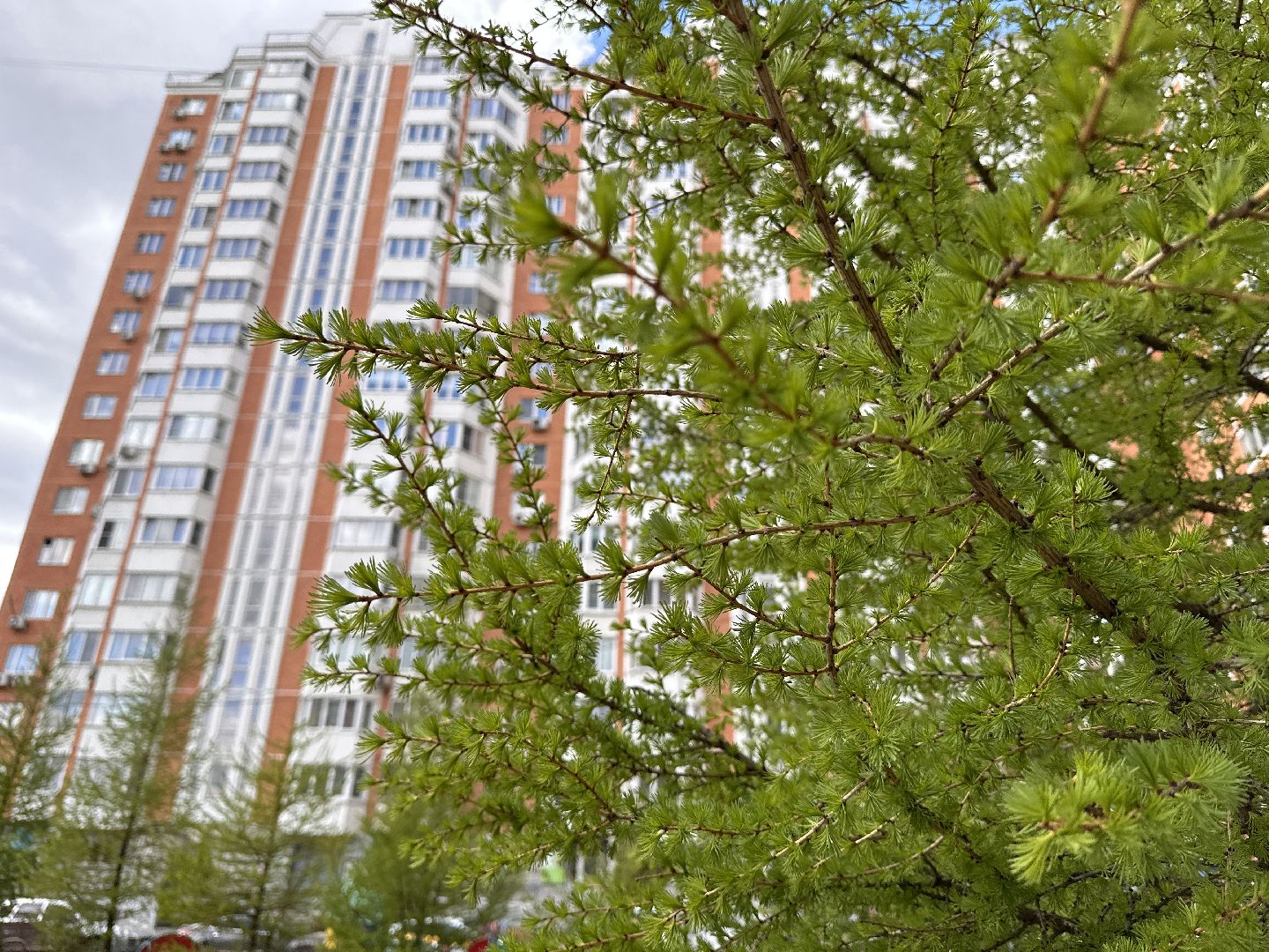 Одинцово, Благоустройство, Детская площадка